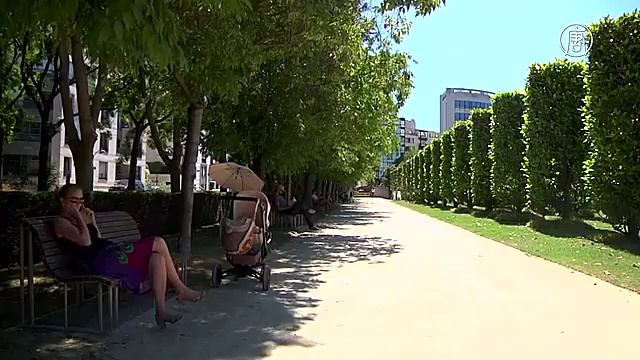 Европа изнывает от «африканской» жары (новости) смотреть онлайн