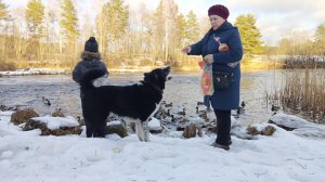 "Жизнь на пенсии".. Ходили с младшим внуком гулять.