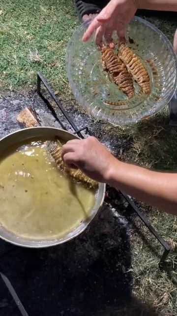 ЩУКА НА СКОВОРОДЕ смотреть онлайн