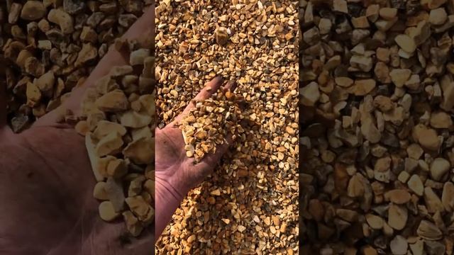 Dandy’s Golden Gravel 20mm & 10mm смотреть онлайн