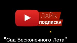 Новые препараты в садовую аптечку. НЕ РЕКЛАМА!!!