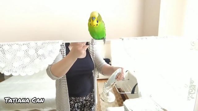 VLOG_Влог_Чудесный день🤗_Чем занималась _Кеша собеседник😁_Болталка_Домашнее Видео _Турция смотреть онлайн