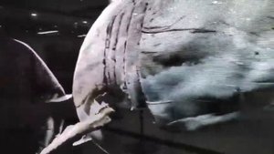 Голографический  LED 3D дисплей.