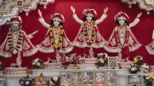 Вечные музыканты (2025)