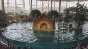 Абу-Даби 🇦🇪 [4К] Океанариум, огромный комплекс, можно смело провести целый день .