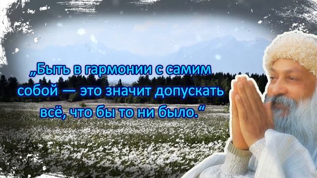 44 Мудрых и Вдохновляющих Цитат Ошо (1931- 1990), которые раскроют Вам тайны духовной жизни! смотреть онлайн