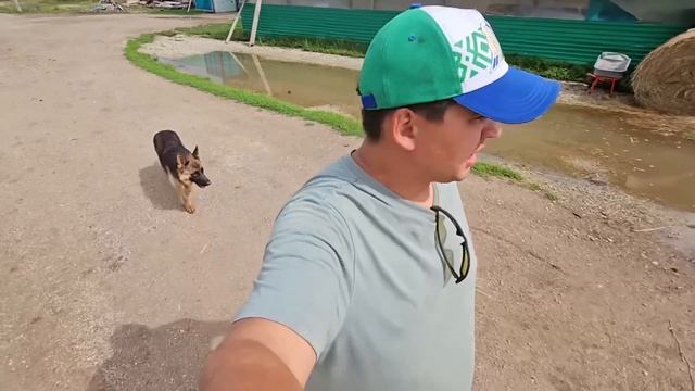 Один день из жизни фермера | Появилось немного времени и мы решили выполнить долгожданное обещание смотреть онлайн