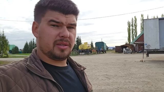 Начались продажи наших башкирских лошадей | Почему так дорого стоят наши аборигенные лошади смотреть онлайн