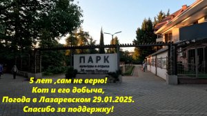 5 лет с камерой! Кот и его добыча,погода в Лазаревском  29.01.2025. Спасибо за поддержку!