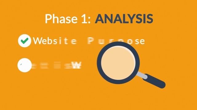 Website Design and Development Process