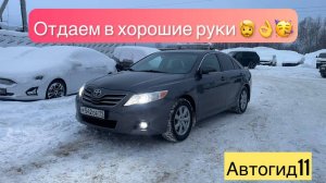 Toyota CAMRY, 2009  2 362 см³   167 л.с.