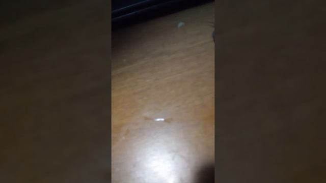 улитки смотреть онлайн