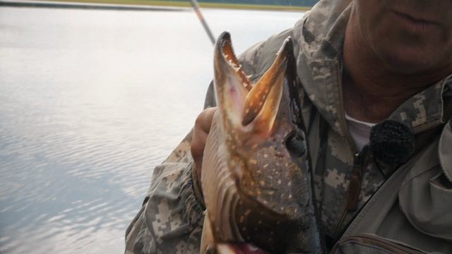 Рыболовная база в Нижневартовске смотреть онлайн