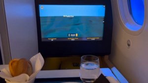 Etihad Airways Business Class | BCN to AUH on B787-9 Dreamliner