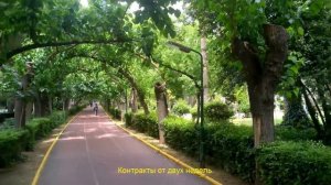 Работа за границей. Турция. [1]  Клуб Саянора, отзывы.