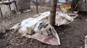 Куда девать куриный помёт из курятника, как сделать удобрение