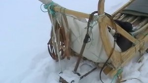 Песня эскимоса.avi