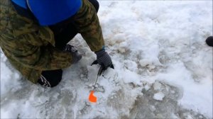 ЛОВЛЯ КРУПНОЙ ЩУКИ НА ЖЕРЛИЦЫ