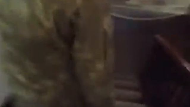 29.04.2014 Луганск.Экскурсия по прокуратуре-2 смотреть онлайн