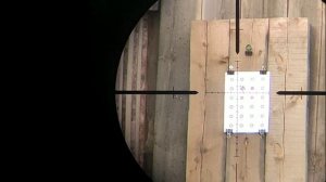 Отстрел из ПСП крысы на ките Барнаул для сравнения ЖСБ из новых и Эдган из старых