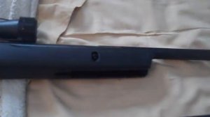 Gamo Big Cat 1250 Review