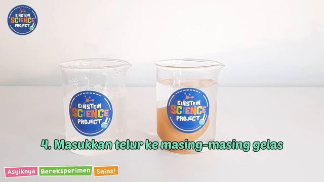 Science Fact: Floating Egg смотреть онлайн