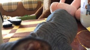 Мой сфинкс 😺😺😺😺😺😺😺😺😺😺😺😺😺😺😺😺😺😺😺😺😺😺😺😺😺😺😺😺😻😻😻😻😻😻😻😻😻😻