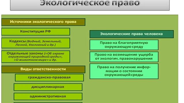 ЭОП лекция №4 121 гр.- 31.01, 331 гр.-05.02.25