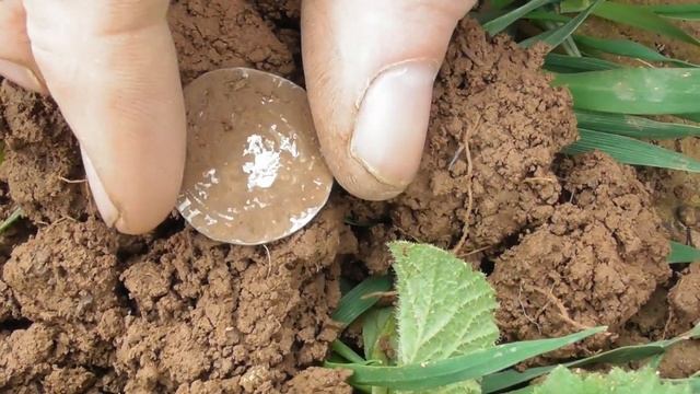 Metal Detecting Silver Henry VII Groat XP Deus смотреть онлайн