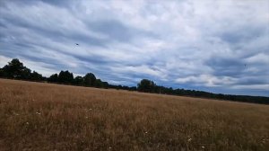 Будни на селе | Решили перенести баню на пруд | Приехали подписчики с Казахстана