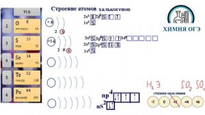 халькогены