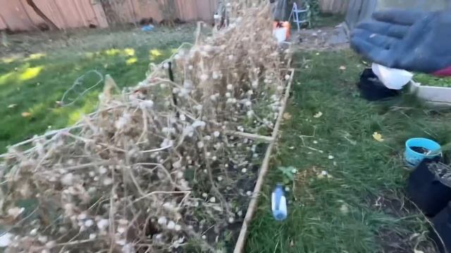 Жизнь в Канадской деревне смотреть онлайн