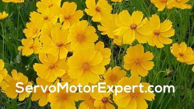 Siemens Servo Motor & Drive Repair locally in India - Encoder/Resolver Install-Align,Adjust How смотреть онлайн