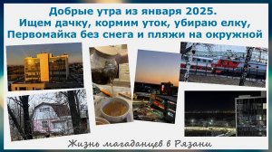 Добрые утра из января 2025. Ищем дачку,кормим уток,убираю елку,Первомайка без снега,пляжи на окружн