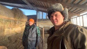 Провели весь день на хозяйстве / Продаем хороших жеребцов башкирской породы / Деревенские будни