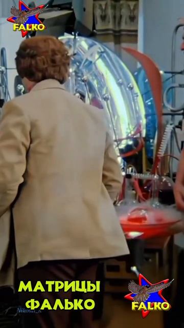 FALKO MATRICES birds dj love кино electronicmusic travel music nature edm музыка музыка