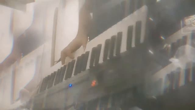 королёк птица певчая (COVER) смотреть онлайн