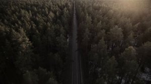 Похищение и убийство 11-летней девочки