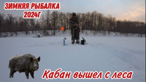 ЗИМНЯЯ РЫБАЛКА! Разведка по щучьим местам. Подводная съёмка. Кабан вышел с Леса.