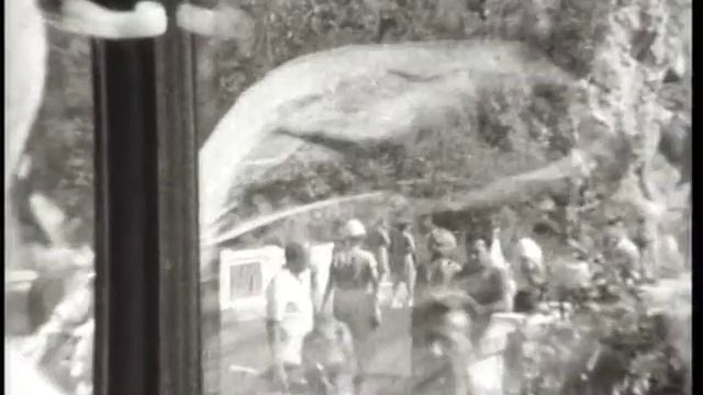 свадьба родителей! смотреть онлайн