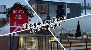 #тюмень. Прогулка по Парку Древо Жизни! Замечательный каток на территории парка!