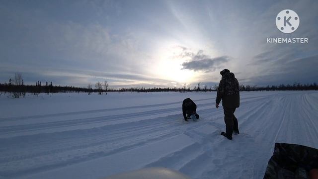 Рыбалка на окуня ,апрельские морозы.