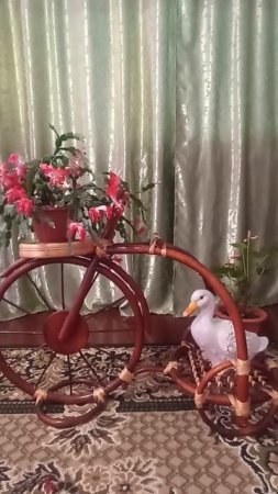 Красавица "Шлюмбергера"