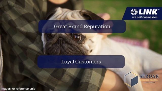 Business for Sale - Dog Walking Business with Multiple Locations смотреть онлайн