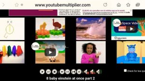 6 Baby Einstein Videos At Once