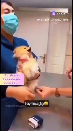 да и так всегда