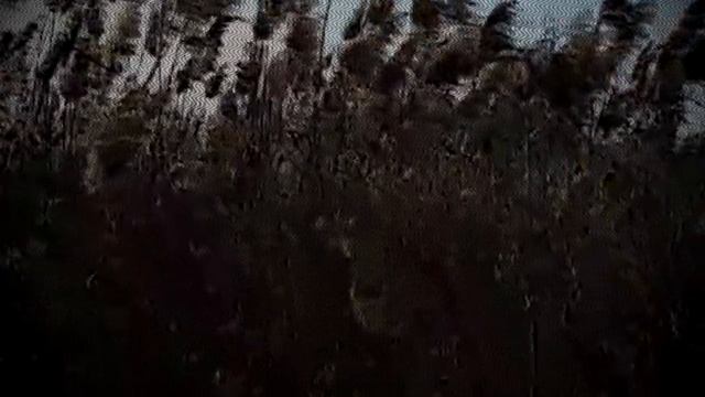 ЖЕСТОКИЙ СТАМБУЛ 25 СЕРИЯ РУССКИЙ ПЕРЕВОД сюжет и дата выхода смотреть онлайн