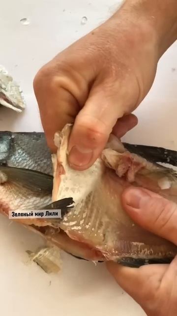 Рыба холодный посол результат. смотреть онлайн