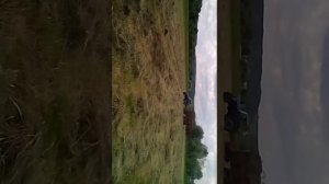 Тпф 45 уборка сена ,