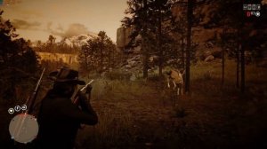 Стоит ли покупать Red Dead Redemption 2 / Red Dead Online в 2025?!